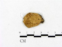 登錄號:F0011394藏品圖，第1張