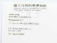 登錄號:F0011395藏品圖，第2張