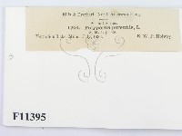 登錄號:F0011395藏品圖，第3張