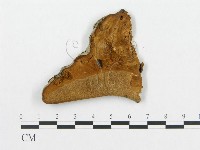 登錄號:F0011396藏品圖，第1張