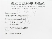 登錄號:F0011397藏品圖，第2張