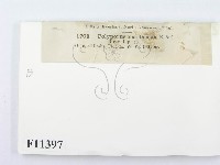 登錄號:F0011397藏品圖，第3張
