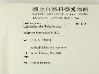 登錄號:F0011398藏品圖，第2張