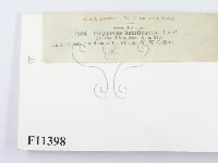 登錄號:F0011398藏品圖，第3張