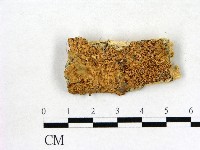 登錄號:F0011401藏品圖，第1張