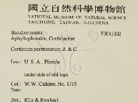 登錄號:F0011402藏品圖，第2張