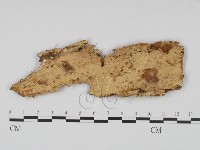 登錄號:F0011402藏品圖，第1張