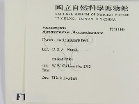 登錄號:F0011403藏品圖，第2張