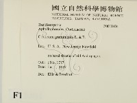 登錄號:F0011404藏品圖，第2張