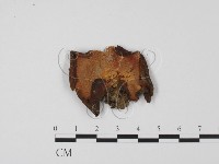 登錄號:F0011407藏品圖，第1張