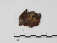 登錄號:F0011407藏品圖，第3張