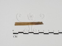 登錄號:F0011408藏品圖，第3張