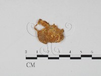 登錄號:F0011409藏品圖，第1張