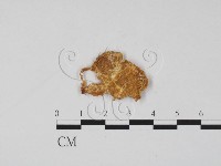 登錄號:F0011409藏品圖，第3張