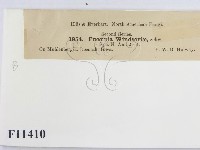 登錄號:F0011410藏品圖，第2張