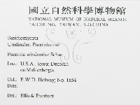 登錄號:F0011410藏品圖，第3張