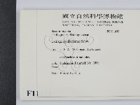 登錄號:F0011411藏品圖，第2張