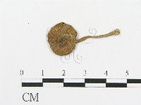 登錄號:F0011412藏品圖，第1張