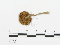 登錄號:F0011412藏品圖，第4張