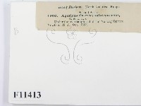 登錄號:F0011413藏品圖，第2張