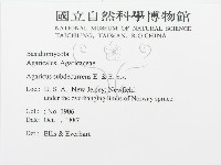 登錄號:F0011413藏品圖，第3張