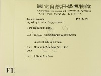 登錄號:F0011415藏品圖，第2張