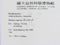登錄號:F0011416藏品圖，第3張