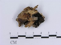 登錄號:F0011416藏品圖，第4張