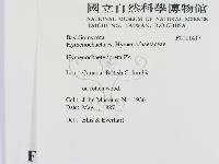 登錄號:F0011417藏品圖，第2張