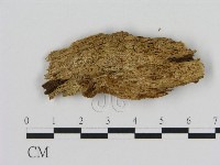 登錄號:F0011417藏品圖，第3張
