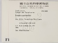 登錄號:F0011418藏品圖，第2張