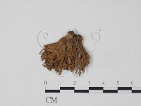 登錄號:F0011418藏品圖，第3張