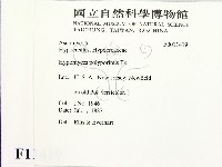登錄號:F0011419藏品圖，第2張