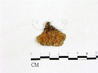 登錄號:F0011419藏品圖，第1張