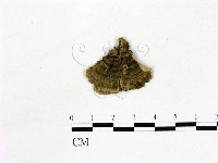 登錄號:F0011419藏品圖，第3張