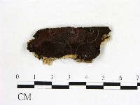 登錄號:F0011420藏品圖，第1張