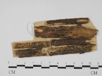 登錄號:F0011421藏品圖，第1張