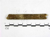 登錄號:F0011422藏品圖，第1張