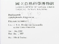 登錄號:F0011424藏品圖，第2張