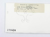 登錄號:F0011424藏品圖，第3張