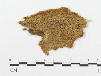登錄號:F0011424藏品圖，第1張