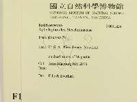 登錄號:F0011426藏品圖，第2張