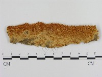 登錄號:F0011426藏品圖，第1張