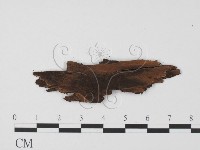 登錄號:F0011434藏品圖，第3張