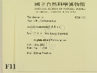 登錄號:F0011436藏品圖，第2張