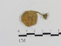 登錄號:F0011436藏品圖，第3張