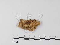 登錄號:F0011437藏品圖，第1張