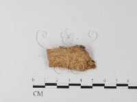 登錄號:F0011437藏品圖，第4張