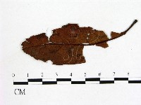 登錄號:F0011439藏品圖，第1張