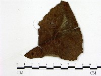 登錄號:F0011440藏品圖，第3張